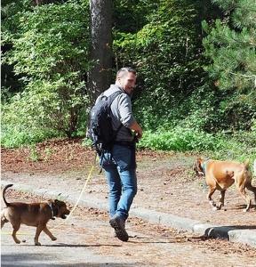 Pension canine garde de chien dog sitter promenade de chien dog walker paris 75 ile de france