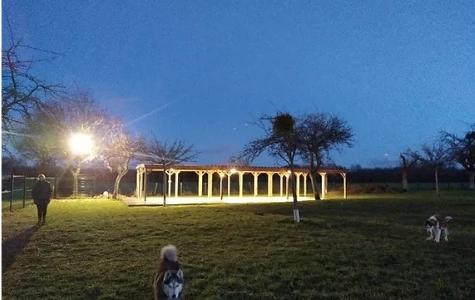 Pension canine garde de chien dog sitter promenade de chien dog walker paris 75 ile de france 1