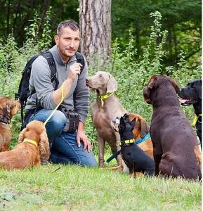 Pension canine garde de chien dog sitter promenade de chien dog walker paris 75 ile de france