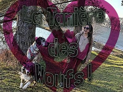 54 Garde d'animaux & Pet Sitter - Nancy & Alentours