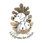 Pension canine pension feline pension nac garde d animaux mont de marsan landes 40