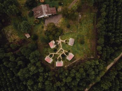 Pension canine pension feline pension nac garde d animaux mont de marsan saint yaguen landes 40