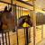 Equine Pension & Senior Equestrian Center