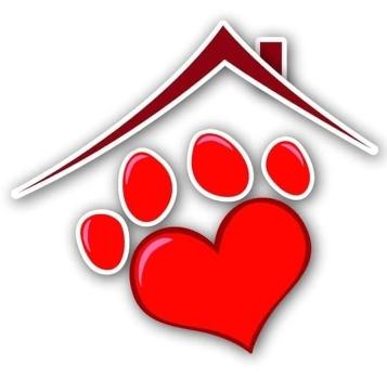 Pension pour chats hotel felin garde de chat cat sitter limoges haute vienne 87 france