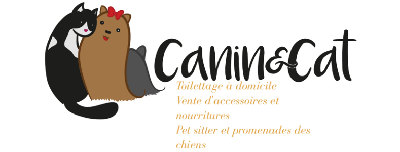 Pet sitter cat sitter dog sitter promenade de chien visites a domicile paris 75