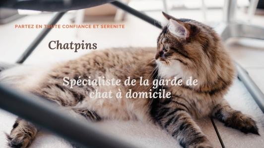 Pet sitter cat sitter garde d animaux visites a domicile issy les moulineaux malakoff hauts de seine