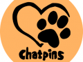 Pet sitter cat sitter pet sitting cat guard vincennes val de marne 94 ile de france 