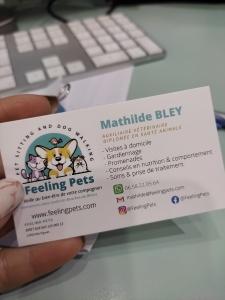 Pet sitter dog sitter dog walker cat sitter animal guard dog cat nac martigues marseille aix bouches du rhone 13 france