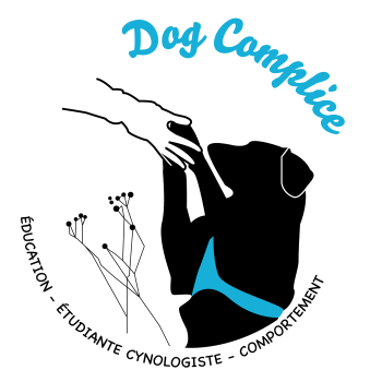 13 Animal Care & Pet Sitter - Marignane