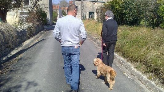 Pet sitter dog sitter dog walker cat sitter animal keeper dog cat nac rochefort aulnay saintes charente maritime 17