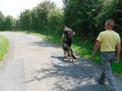 Pet sitter dog sitter dog walker cat sitter animal keeper dog cat rochefort aulnay saintes charente maritime 17 france