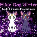 Pet sitter dog sitter dog walker cat sitter garde d animaux chat nac clermont ferrand puy de dome 63