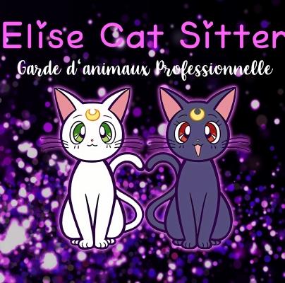63 Garde d'animaux & Pet Sitter - Clermont-Ferrand