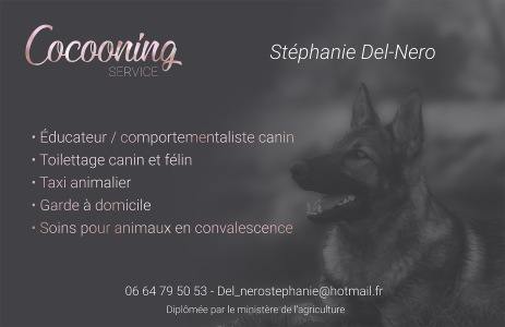 Pet sitter dog sitter dog walker cat sitter garde d animaux pension feline canine saint francois guadeloupe 971