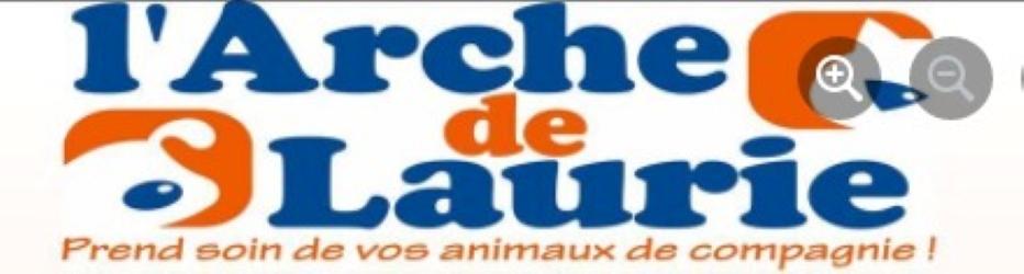 43 Animal guard & Pet Sitter - Saint-Martin-de-Fugères