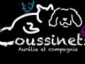 Photographe animalier creteil shooting photo chien chat nac cheval val de marne photographie animale