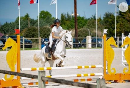 Photographe animalier marseille shooting photo equin canin felin bouches du rhone 13