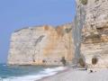 Plage pour chien le tilleul seine maritime 76 normandie 