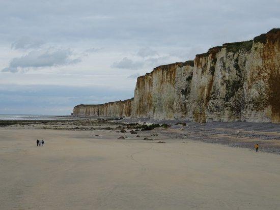 76 Plages autorisées aux chiens - Quiberville