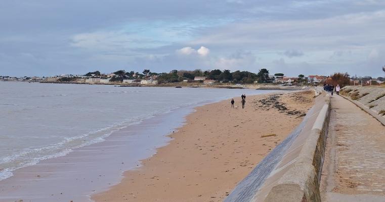 14 Beaches allowed to dogs - Saint-Aubin-sur-Mer