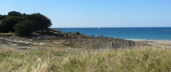 35 Dog-friendly beaches - Saint-briac-sur-Mer