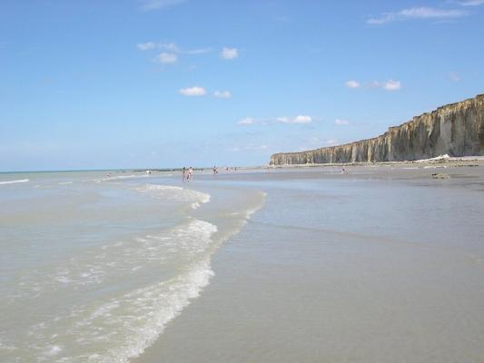 76 Plages autorisées aux chiens - Saint-Valery-en-Caux