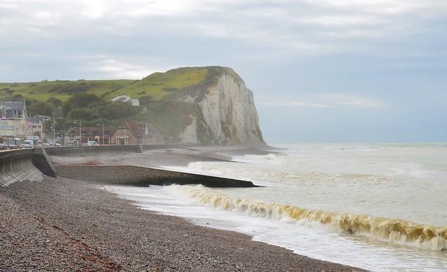 76 Beaches allowed to dogs - Veulettes-sur-Mer