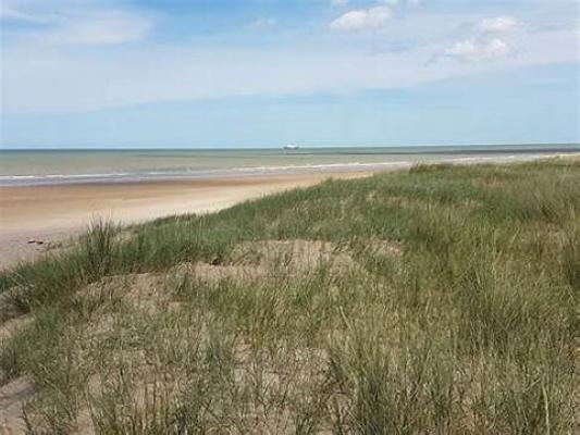 14 Beaches allowed for dogs - Graye-sur-Mer