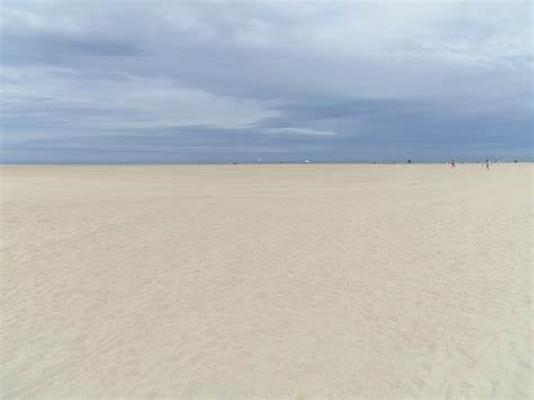 14 Beaches allowed to dogs - Ouistreham