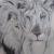 Portraitiste animalier portrait d animaux chien chat cheval tigre lion loup zebre girafe elephant aigle