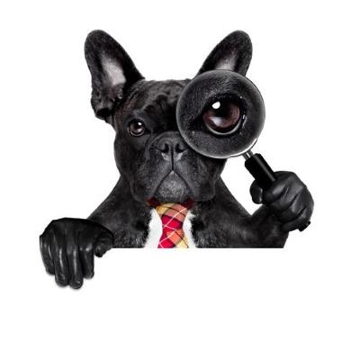 Promeneur de chien garde de chien garde d animaux dog sitter dog walker france