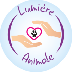 Reiki animalier angers soins energetiques animaliers cholet maine et loire 49