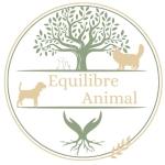 Reiki animalier bayonne soins energetiques animaliers biarritz pau pyrenees atlantiques 64