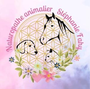 25 Animal Communication & Animal Reiki - Besançon