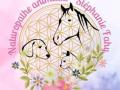 Reiki animalier besancon communication animale montbeliard doubs 25