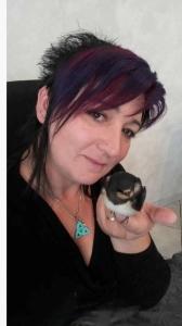 Reiki animalier besancon magnetisme pour animaux doubs