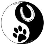 Reiki animalier bourg en bresse magnetiseur pour animaux ain 01 1