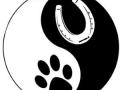 Reiki animalier bourg en bresse magnetiseur pour animaux ain 01 