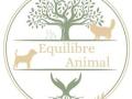 Reiki animalier mont de marsan soins energetiques animaliers dax landes 40