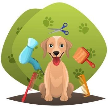 Grooming salon for pets (cat, dog) - France