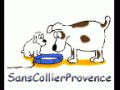 Sanscollierprovence