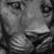 Sculpteurs animaliers contemporains vente sculpture animaliere contemporaine