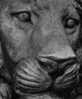 Contemporary animal sculpture for sale, purchase of status