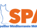 Spa montpellier