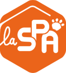 Spa protection animale abandon animal adoption chien chat france dom tom