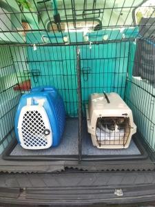 Taxi animalier agen transport d animaux chien chat nac lot et garonne 48