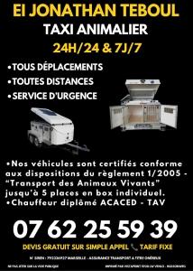 Taxi animalier avignon transport d animaux vaucluse taxi pour chien chat 1