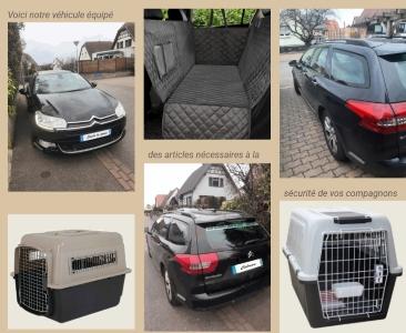 Taxi animalier colmar transport d animaux mulhouse transporteur chien chat nac haut rhin 68
