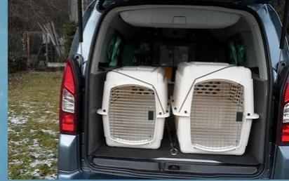 Taxi animalier dijon transport d animaux cote d or taxi chien chat nac 21