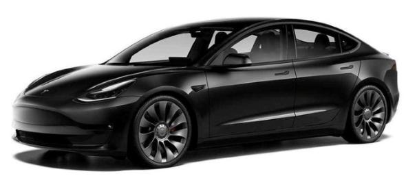 83 Animal taxi & Animal transport - Fréjus Draguignan